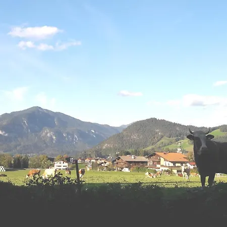 Mueller Apartment Reith im Alpbachtal